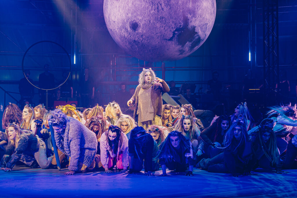 Tom Hillewaere staat als Old Deuteronomy aan het hoofd van de Jellikelkatten - © Bohemian Productions