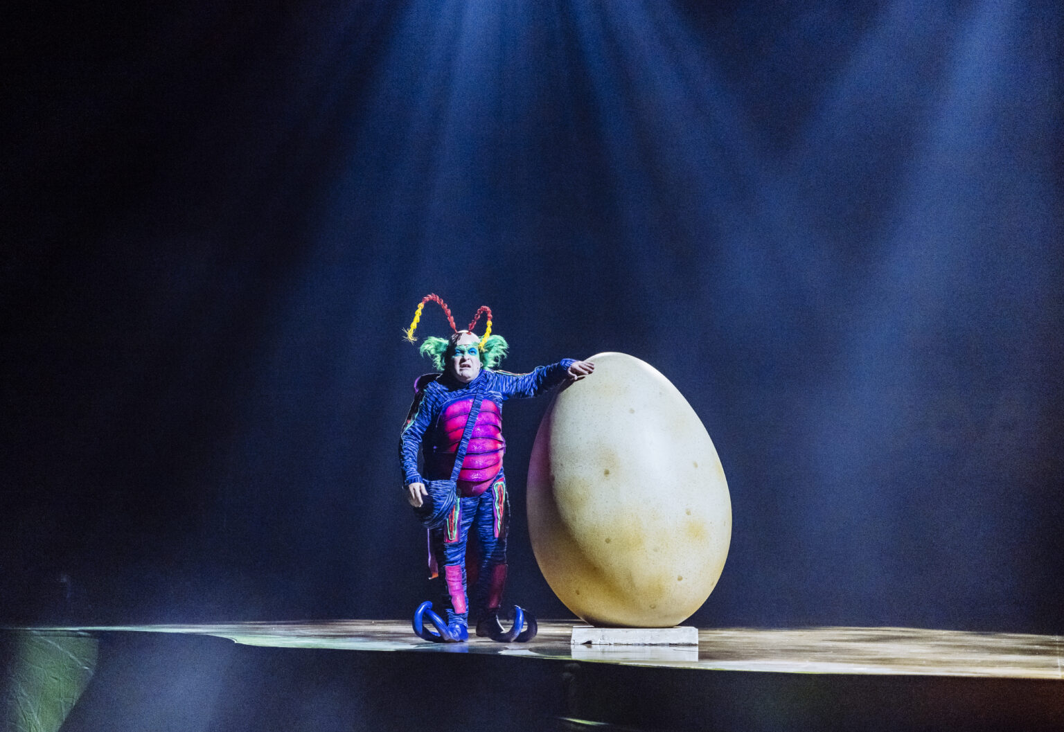 Een mysterieus ei houdt de insectenwereld in de ban in OVO - © Marie-Andrée Lemire